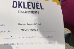 Bazsó_2