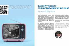 2023_TALENTUM_DIGIT_oldalparok_Oldal_13