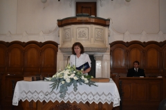 tanevzaro-2024-08